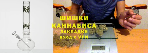 PSILOCYBIN Алзамай