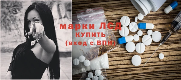 PSILOCYBIN Алзамай
