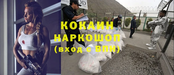 прущие грибы Абаза