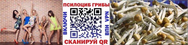 Галлюциногенные грибы GOLDEN TEACHER Нюрба